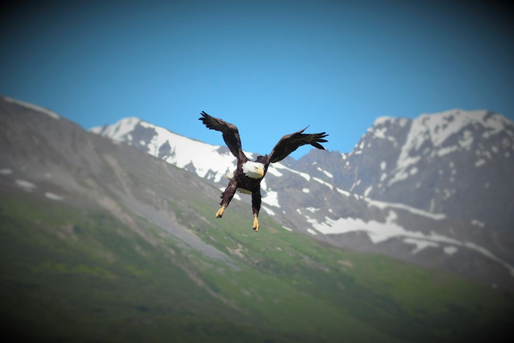 RV Rentals Valdez, AK 2 %business_name