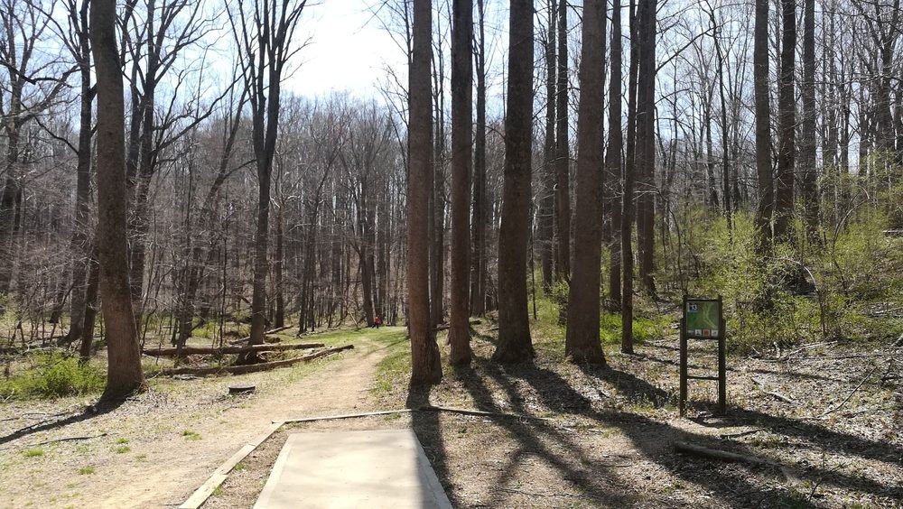 Seneca Creek Disc Golf