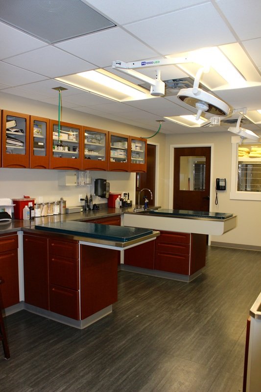 Black River Veterinary Hospital 18 Reviews Veterinarians 114 US