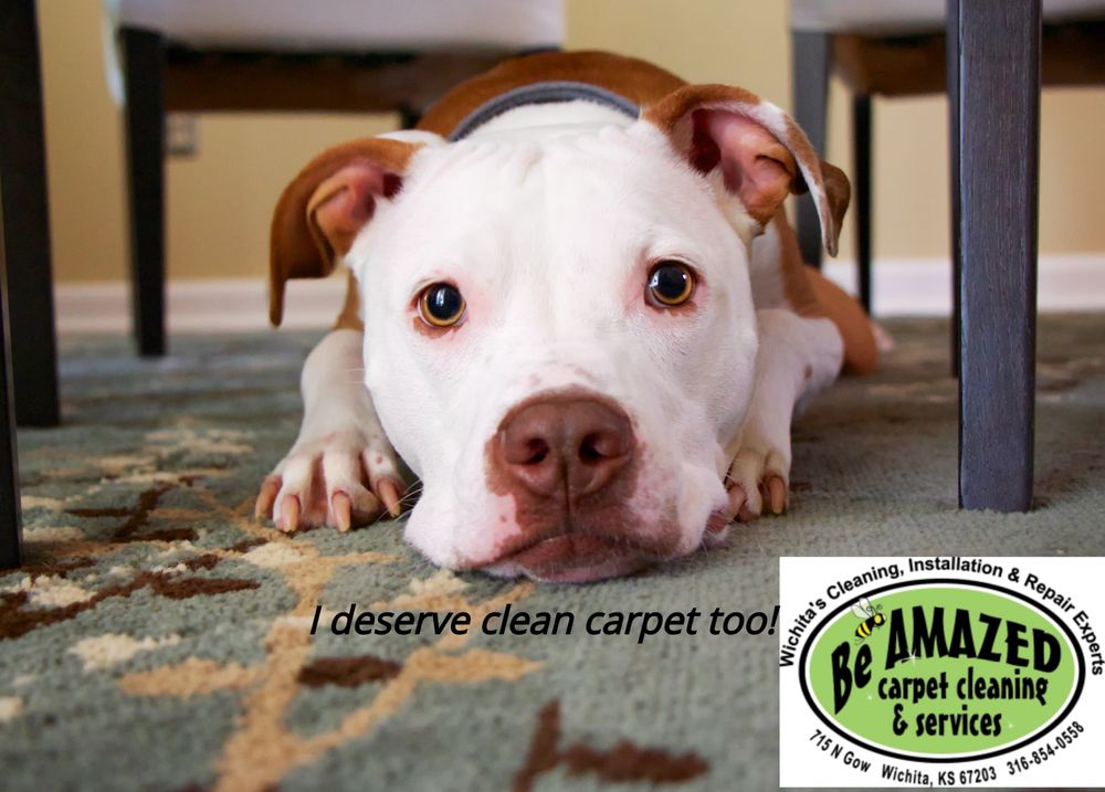 Be Amazed Carpet Cleaning Services 49 Photos Be Amazed Carpet Cleaning Services 49 Photos 715 N Gow St Wichita Ks Phone Number Yelp