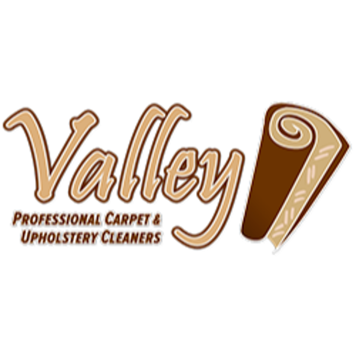 Valley Professional Carpet & Upholstery Cleaning
