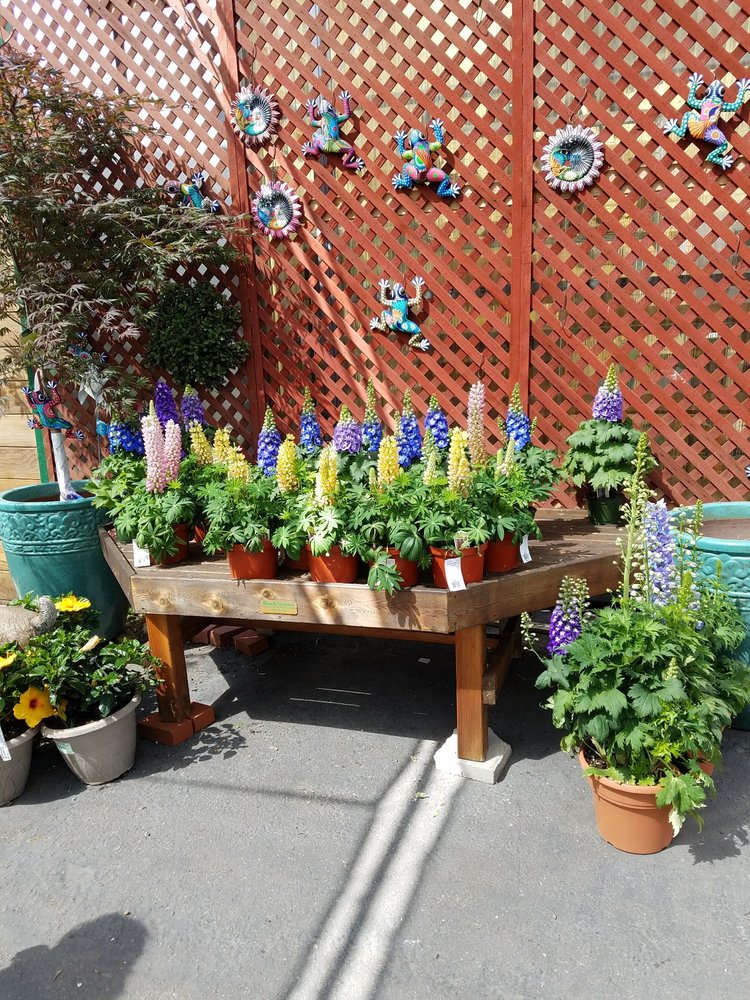 Photos For Green Thumb Nursery San Marcos Yelp Photo Of Green Thumb Nursery San Marcos Ca United States