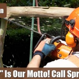 Tree Service Bridgeton  Photo of Sprouse Tree Service - Bridgeton, NJ, United States