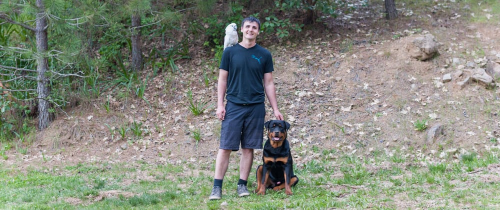 Dog Training Grants Pass Or Dog Training Grants Pass Or