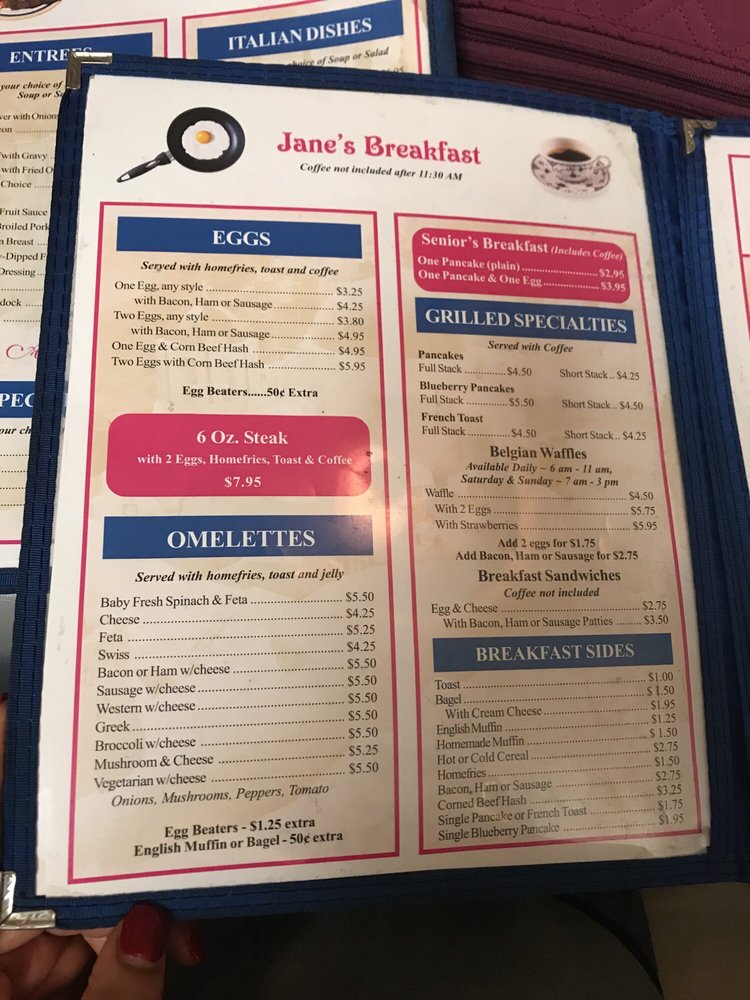 Online Menu of Janes Diner Restaurant, Binghamton, New York, 13903 Zmenu