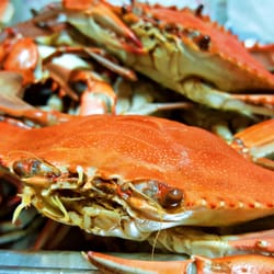 Louisiana Cajun Seafood 34 Photos 33 Reviews Creole Photo Of Louisiana Cajun Seafood Baton Rouge La United States Boiled Crawfish