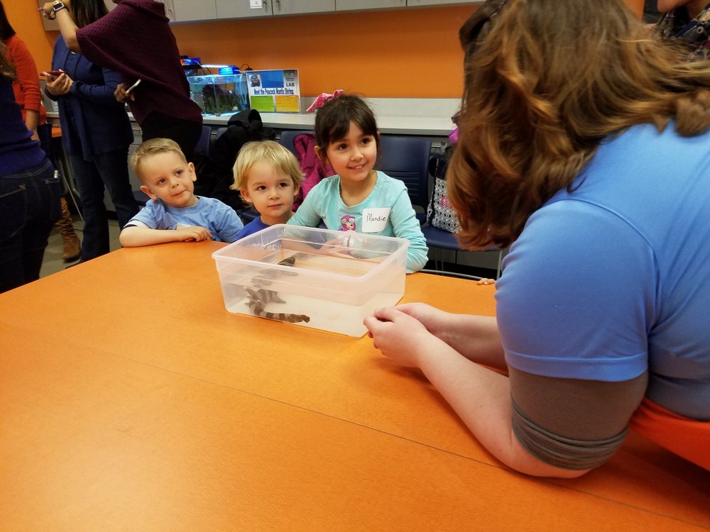 Children's Science Center