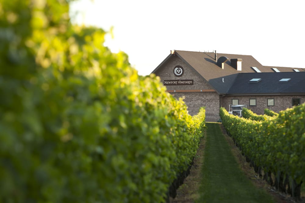 Newport Vineyards & Winery 395 Photos & 306 Reviews Wineries 909