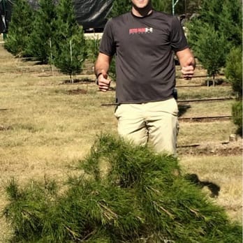 photo of pipe creek christmas tree farm pipe creek tx united states - Pipe Creek Christmas Tree Farm photo of pipe creek christmas tree farm pipe creek tx united states - Pipe Creek Christmas Tree Farm
