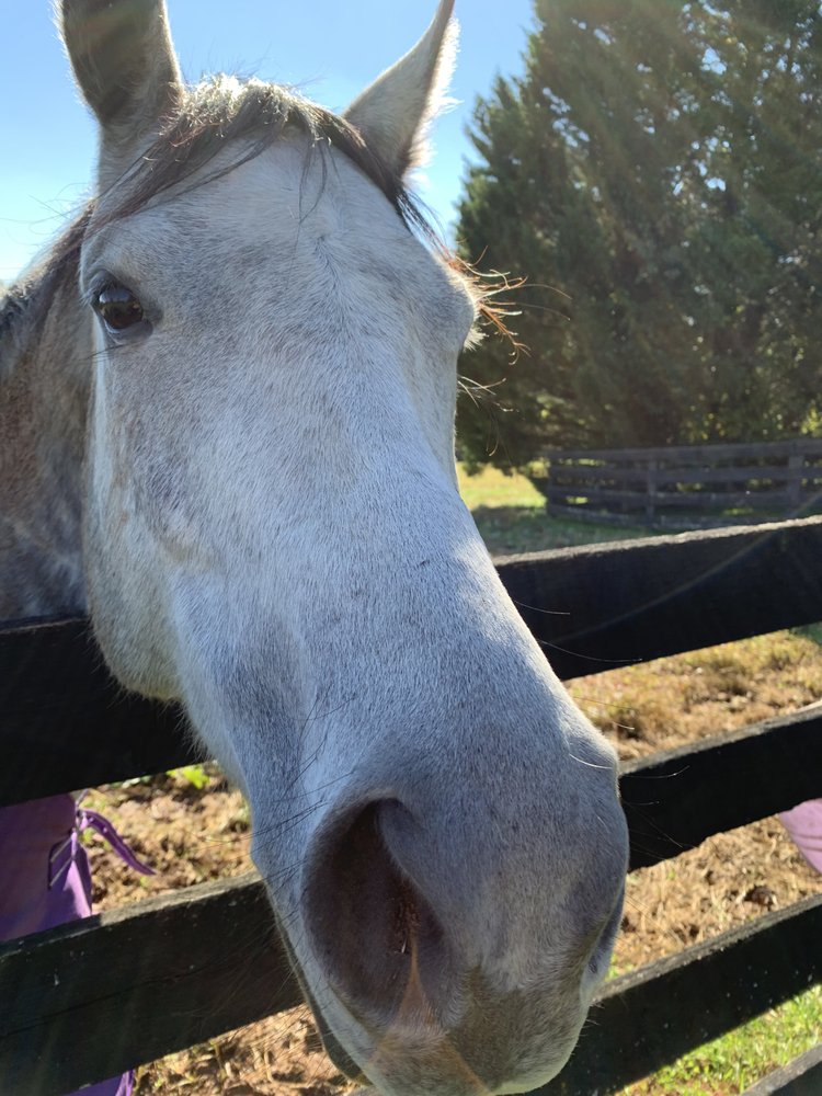Warrenton Training Center Army Base in Alexandria, VA