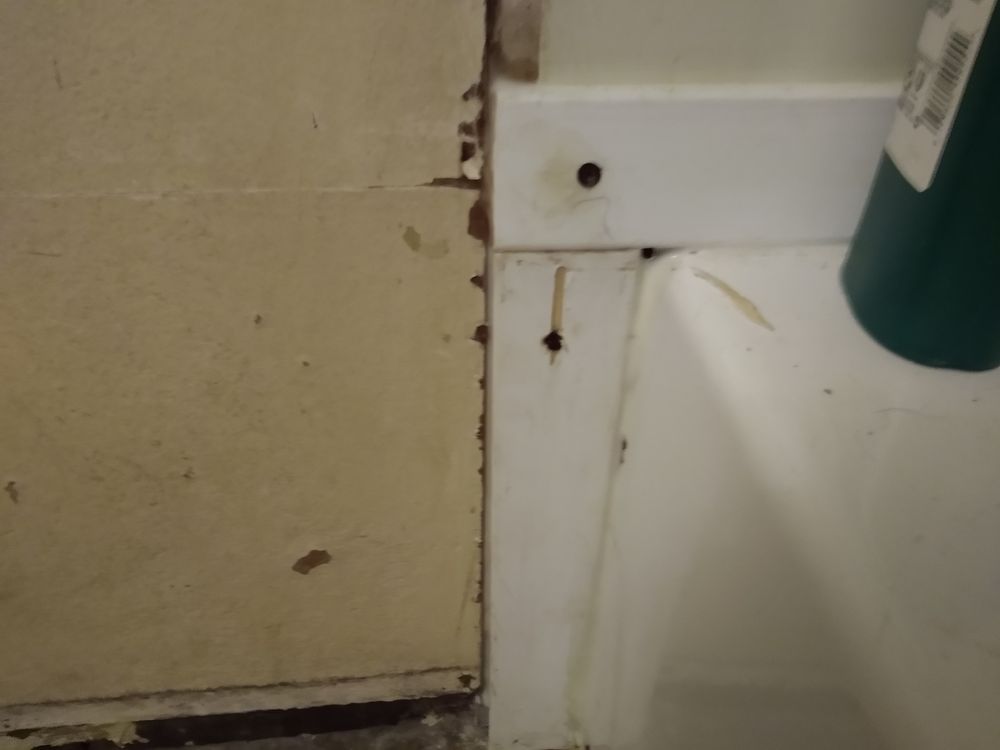San Patricio Plumbing