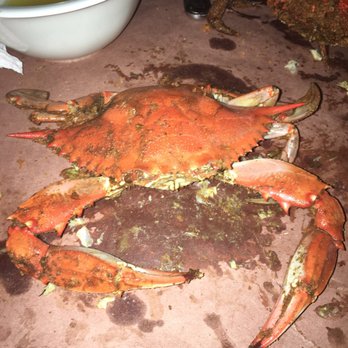Maryland Steamed Crabs In Myrtle Beach Sc Maryland Steamed Crabs In Myrtle Beach Sc