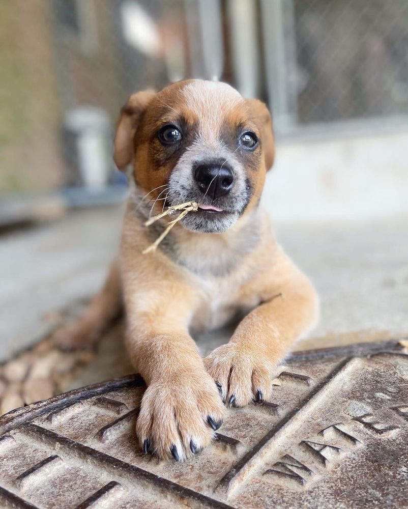 West Hills Veterinary Centre