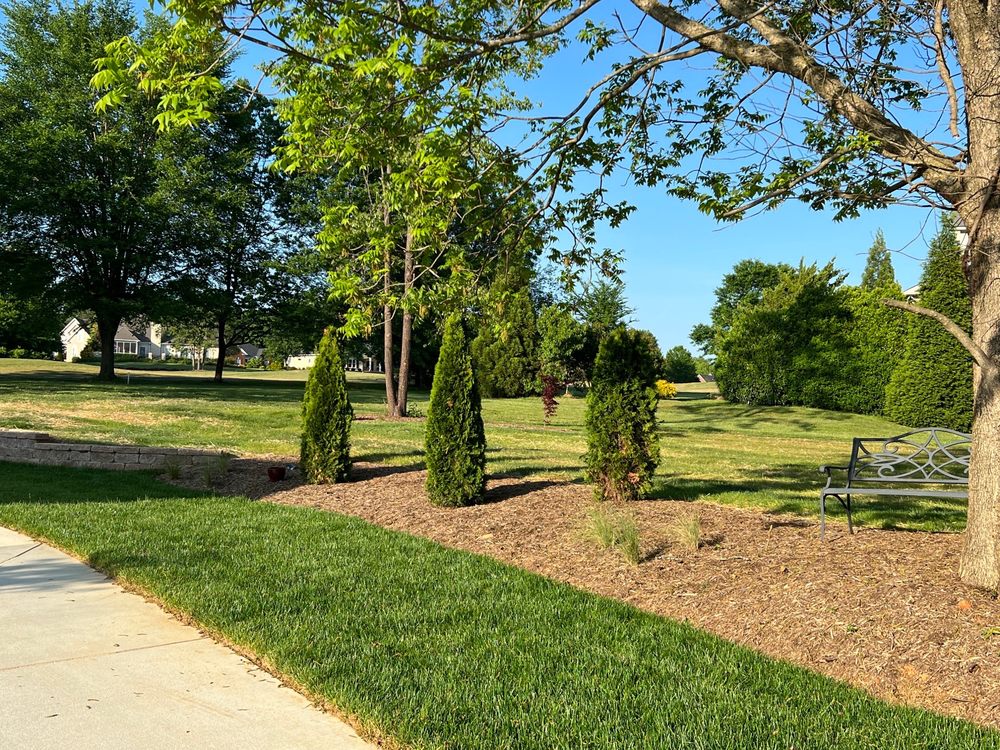 Trees and Plants Nursery and Garden Center