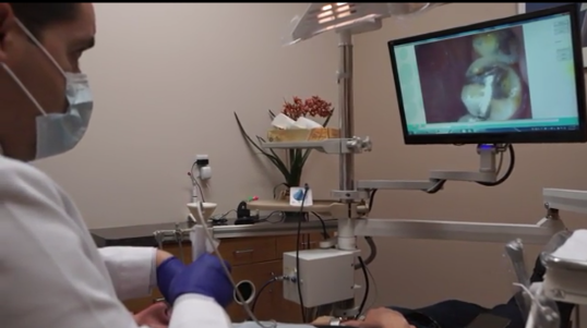 image of business Gregory Robins, DDS