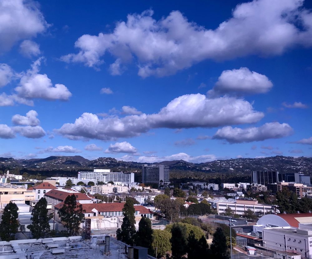 image of business Elizabeth Feuille, MD - Century City Allergy