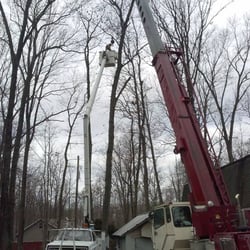 Photo of Angry Al's Tree Service - Middletown, PA, United States Tree Service Middletown Tree Service Middletown Photo of Angry Al's Tree Service - Middletown, PA, United States