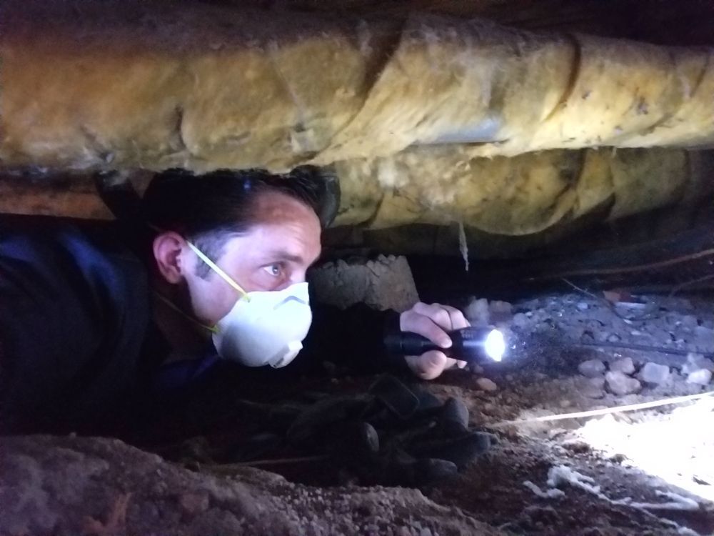 Ramey's Home Inspection