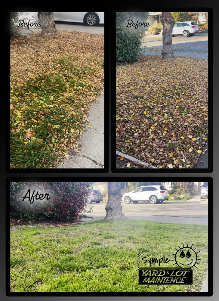 Symple Yard and Lot Maintenance 