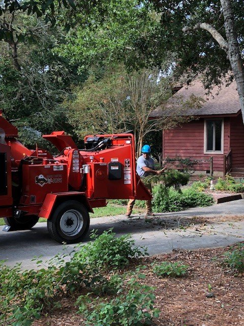 Monster Tree Service of Cape Fear