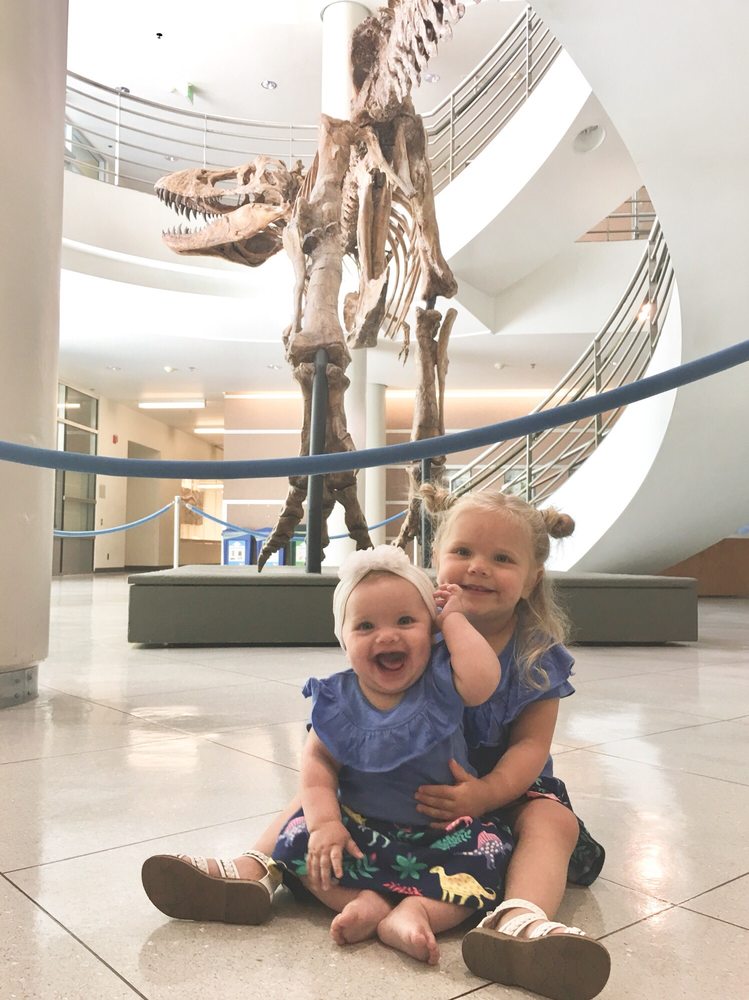 Museum of Paleontology 37 Photos & 14 Reviews Museums 1101 Valley Life Sciences Bldg, UC
