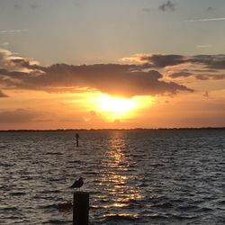 Sunset Cafe Waterfront Grill and Bar - 82 Photos & 147 Reviews