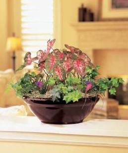 image of business Interior Nature