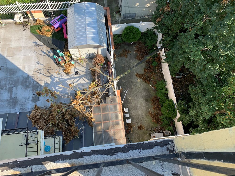 Benny’s Landscaping & Tree Service