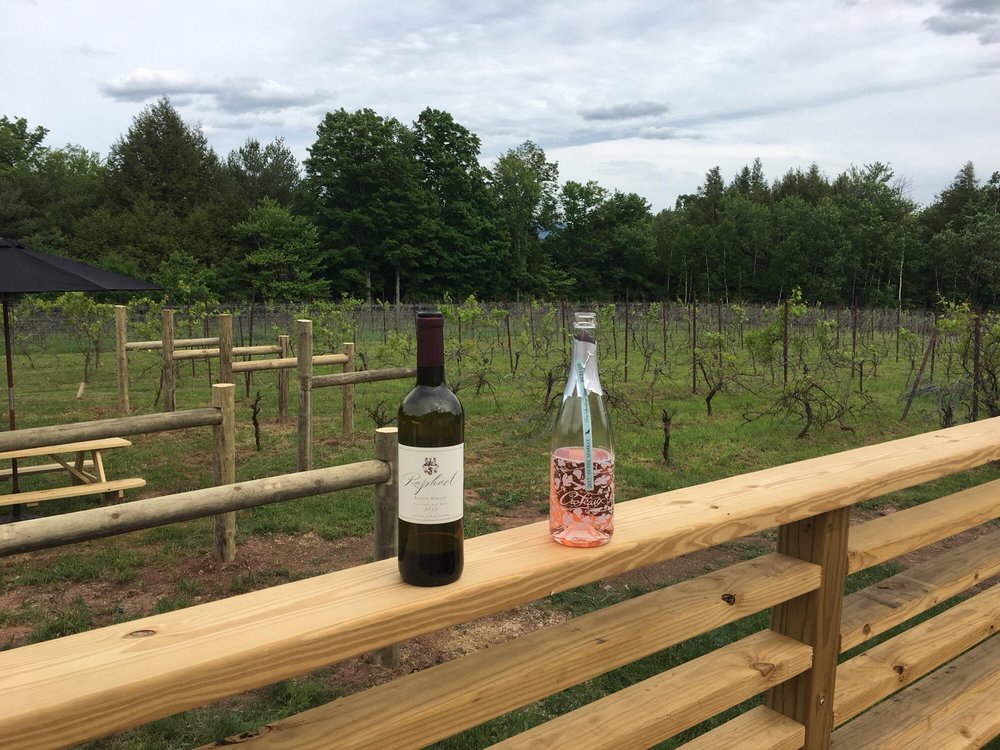 The Vineyard at Windham Wineries 11 Mount View Estates Rd, Windham