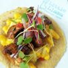 Little Llama Peruvian Tacos