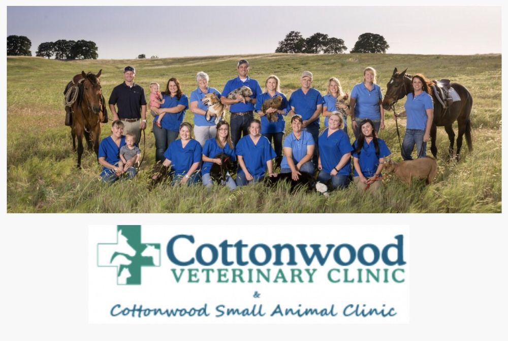 Cottonwood Large Animal Veterinarian Veterinarians 3917 Main St