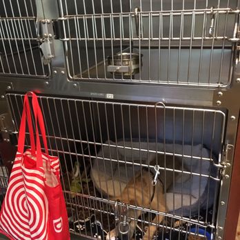 medium sized kennel disneyland kennel club 41 photos 99 reviews pet sitting 1313 s harbor blvd medium sized kennel disneyland kennel club 41 photos 99 reviews pet sitting 1313 s harbor blvd