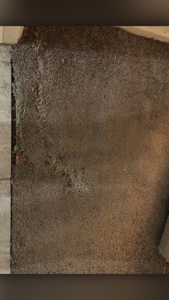 image of business Flawless Carpet Repair