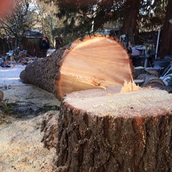 R Tree Service 18 Reviews Services 1710 Commercial St R Tree Service 18 Reviews Services 1710 Commercial St Ne M Or Phone Number Last Updated December 11 2018 Yelp