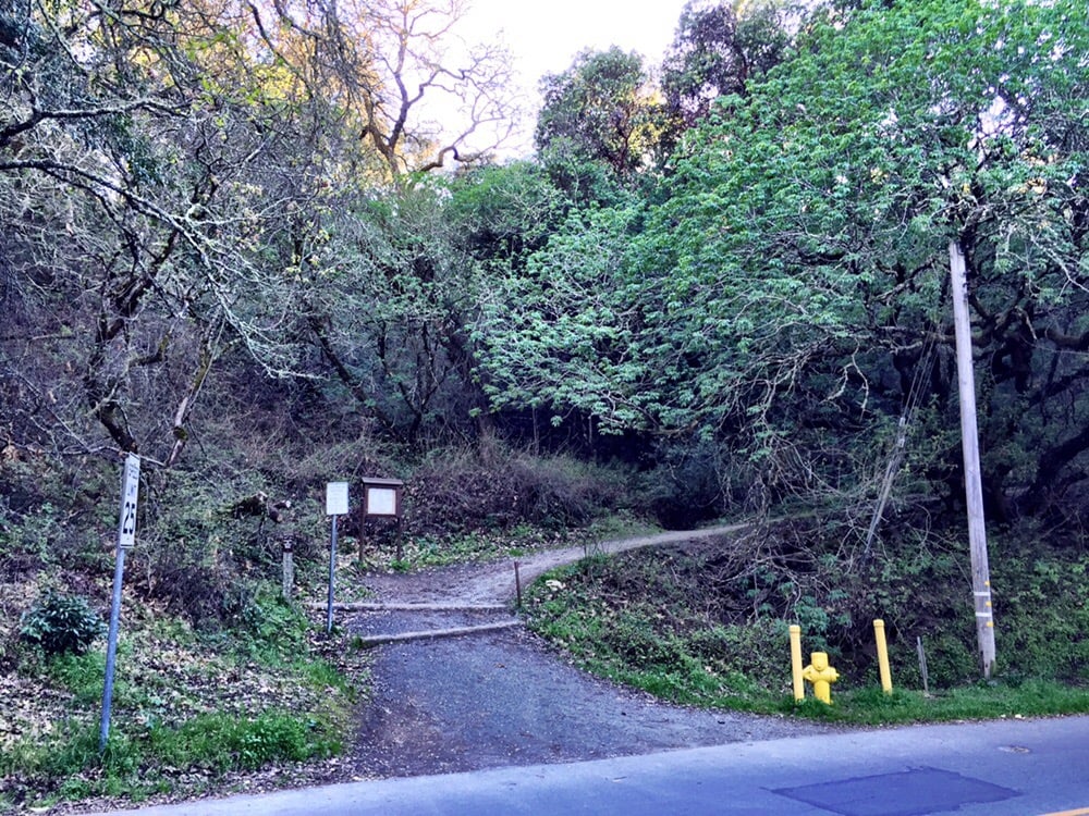Coal Mine Ridge Trails 22 Photos Hiking Intersection of Alpine Rd