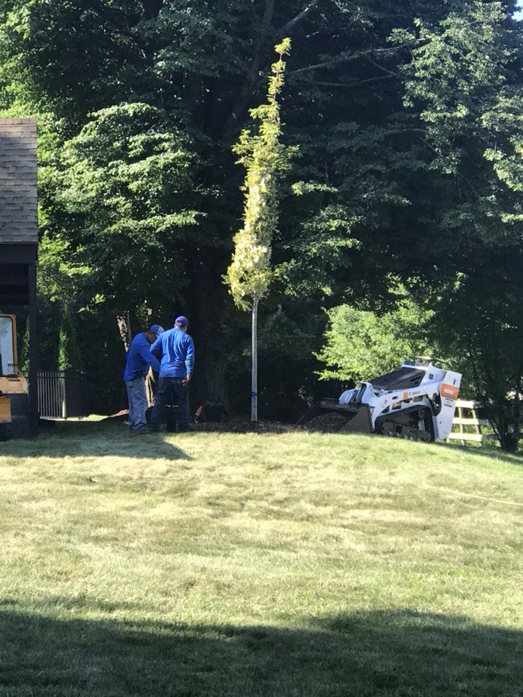 Flying Squirrel Tree Service & Landscaping Landscaping East Dundee, IL Phone Number Yelp