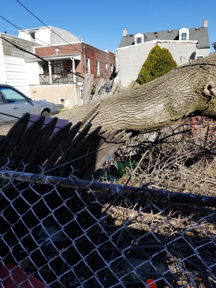 Beidler Tree Service