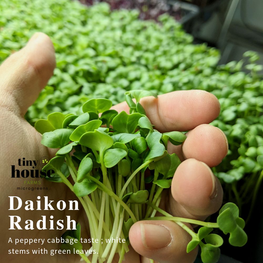 Tiny House Farms