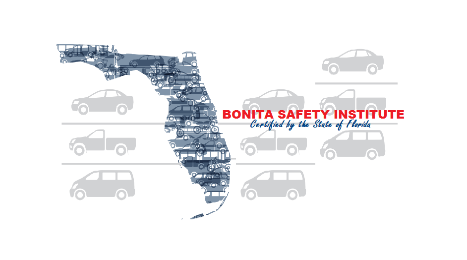 Bonita Safety Institute Driving Schools 10911 Bonita Beach Rd SE