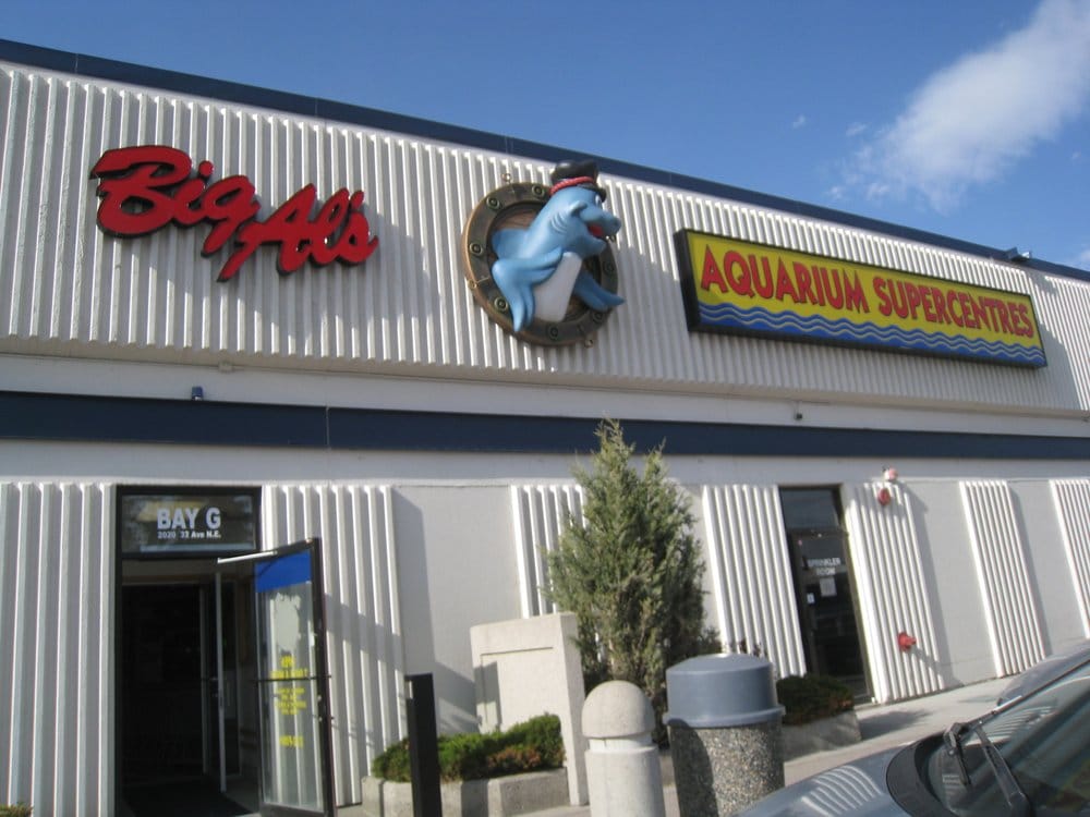 Big Al’s Aquarium Supercentre CLOSED 14 Reviews Pet Stores 2020