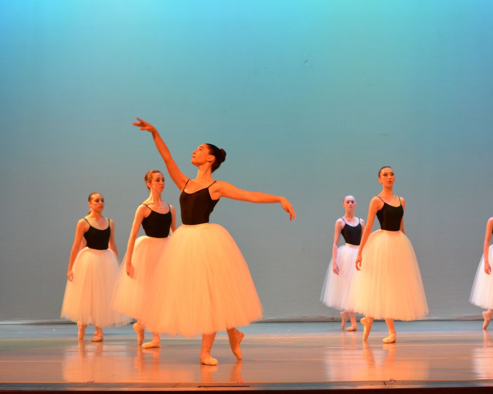 Ballet Center of Houston 12 Photos Opera & Ballet 8515 Jackrabbit