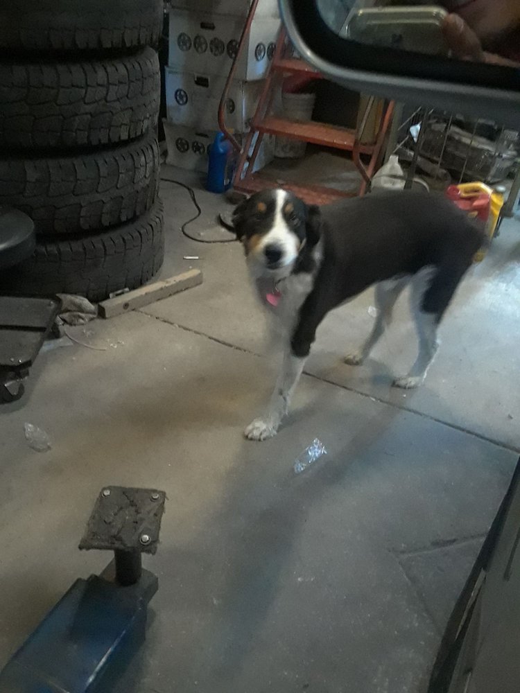 El Gallito Tire Shop
