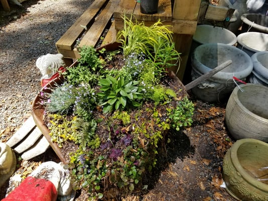Twin Branch Nursery Landscape 1169 W Wylie Bridge Rd Woodstock Ga Reviews
