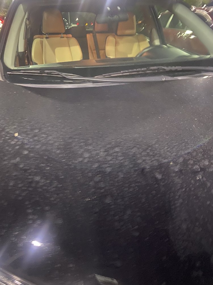 Tidal Wave Auto Spa of Apex