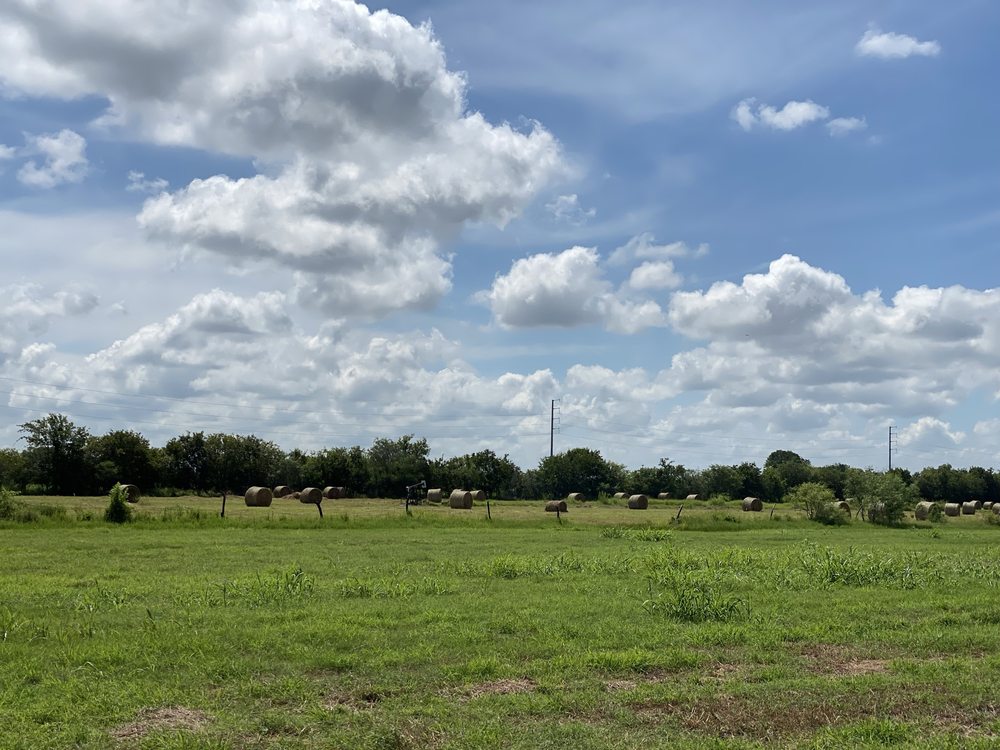Isis Olguin- Stonepoint properties