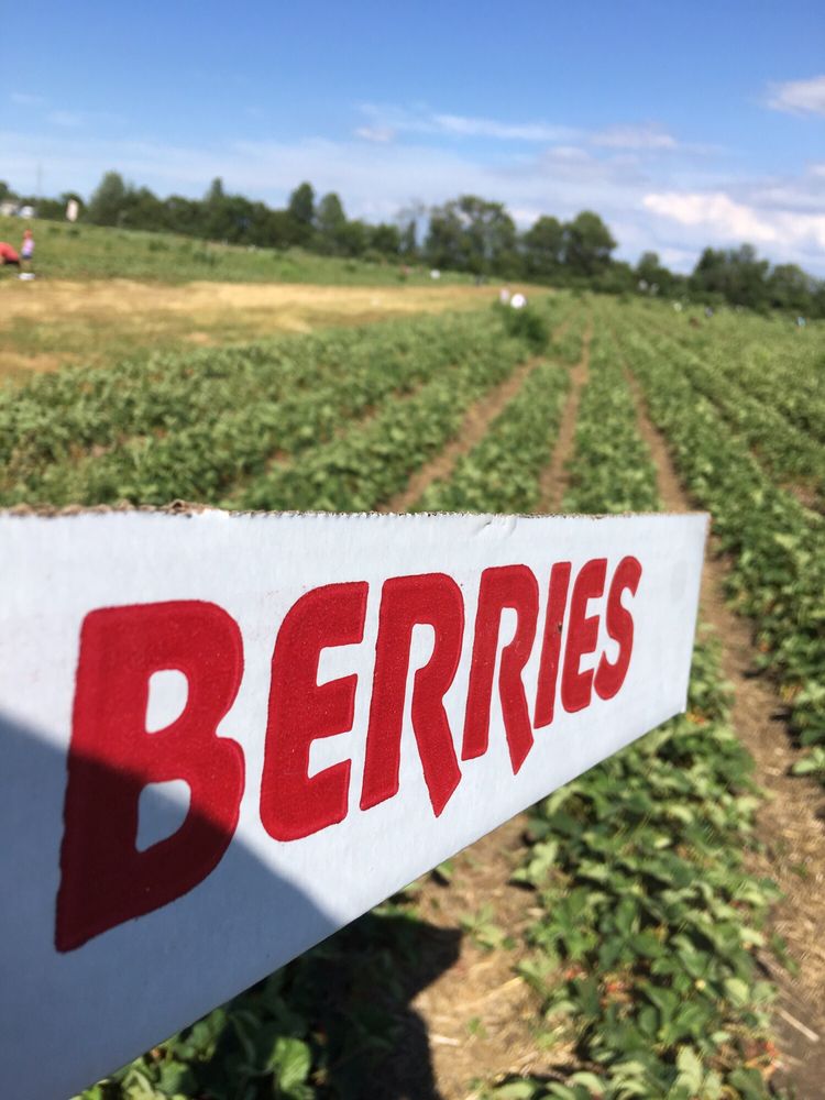 Rowe’s Produce Farm 13 Photos & 14 Reviews Farmers Market 10570