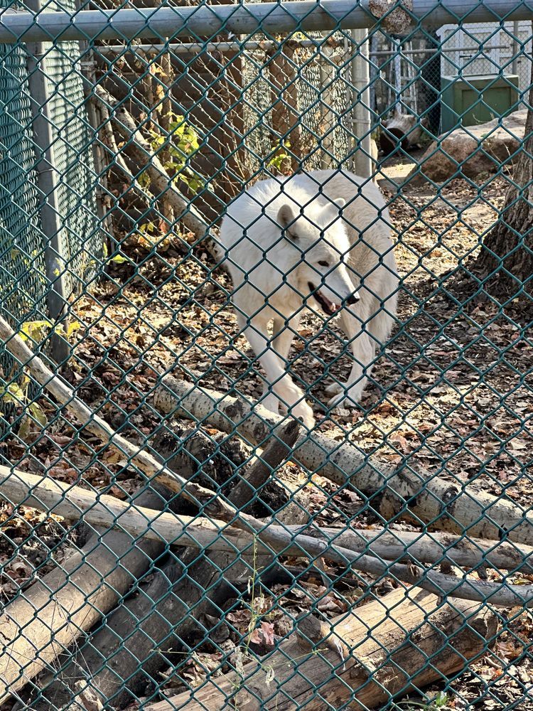 Edmonton Valley Zoo