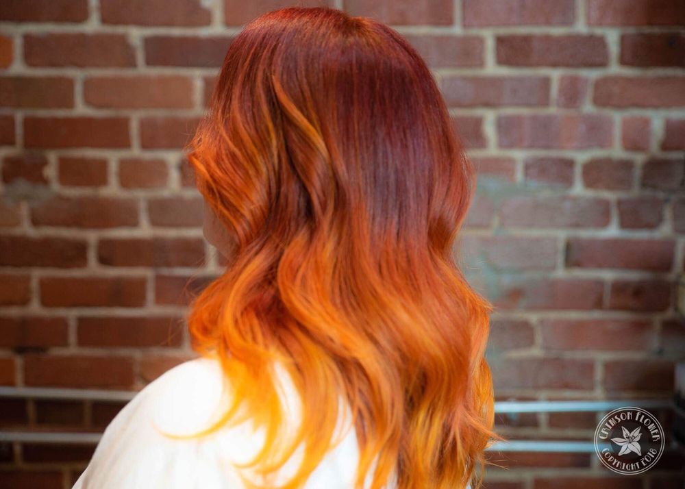 Elixir Salon