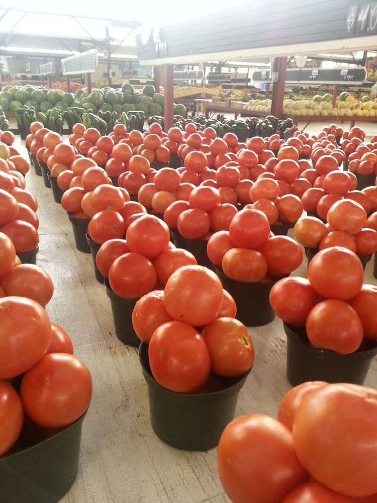 Photos for Rorabeck�s Plants &amp; Produce Yelp