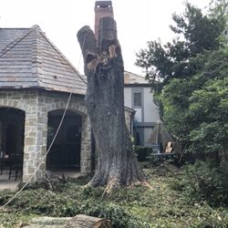 Rf Tree Service 66 Photos 17 Reviews Services 2102 Photo Of Rf Tree Service Houston Tx United States A Large Water